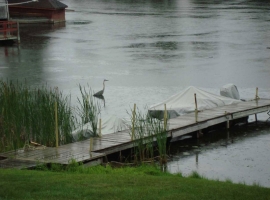 dock1